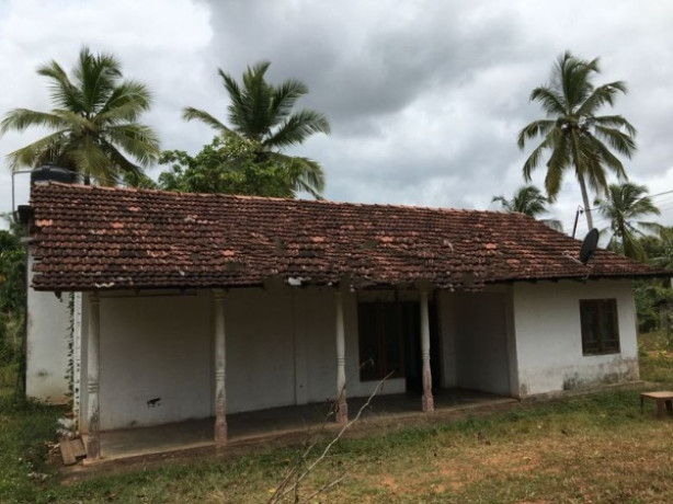 Land with House for Sale in Pannala