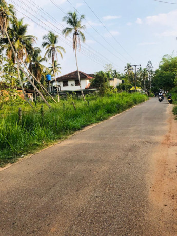 Land For Sale In Kaluachchimulla