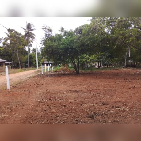Land For Sale In - Anuradhapura