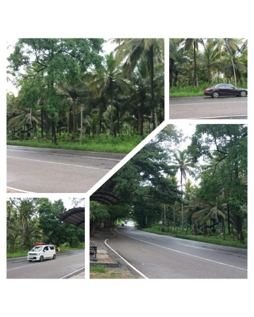 Land For Sale In Padeniya