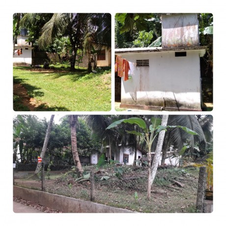 Land For Sale in - Horana.