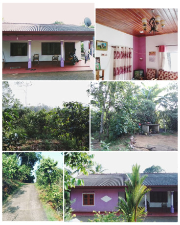 House For Sale In Elpitiya