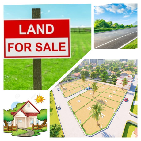 LAND FOR SALE IN ALAWWA