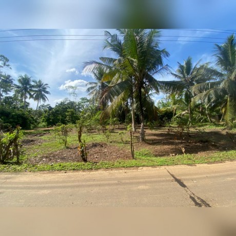 Land For Sale In - WELIGAMA.