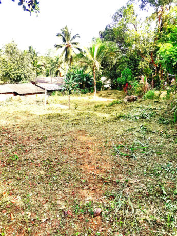 Land for sale in Kuruwita