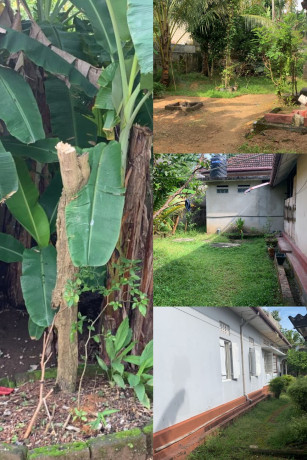 Land with old House for sale in Pannipitiya