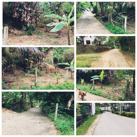Land For Sale in Kegalle, Mawanella.