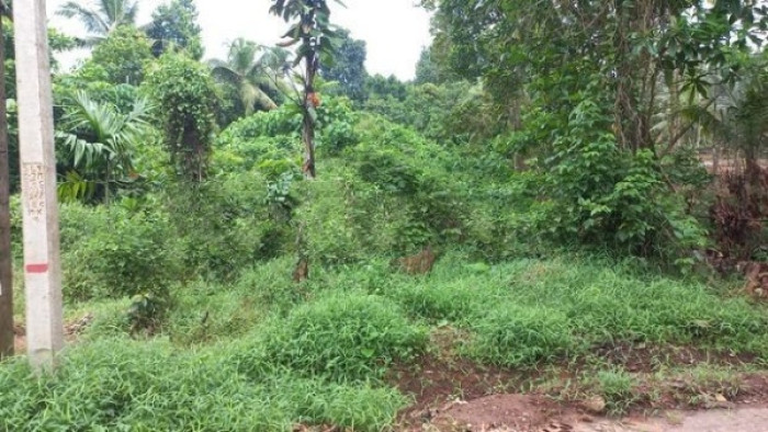 Land For Sale in Weliweriya