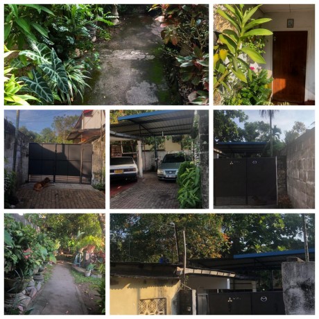 Single Story House for Sale in Bellanwila