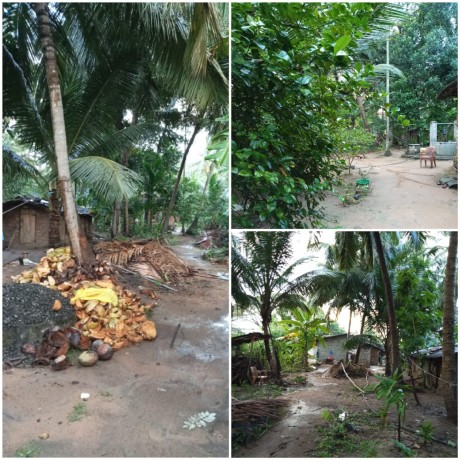 Land and House for sale in Matale