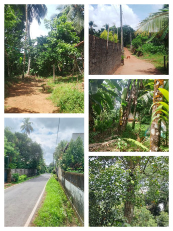 Land For Sale in Pugoda