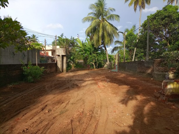 Land For Sale in Walisara.
