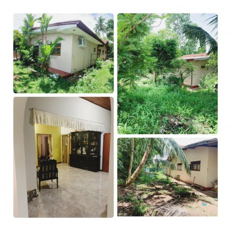 House With Land For Sale In - Ambalangoda.