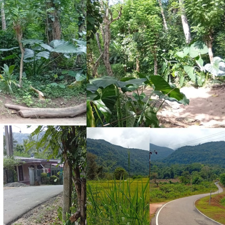 Land with house for sale in  matale