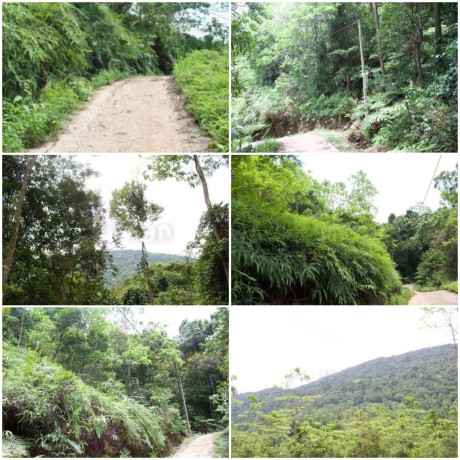 Attractive Land near Sinharaja Rain Forest in Lankagama