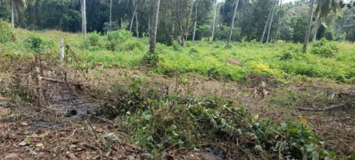 Land for Sale in මිනුවන්ගොඩ