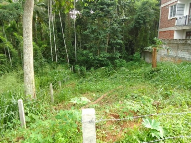 Land for Sale - Matale