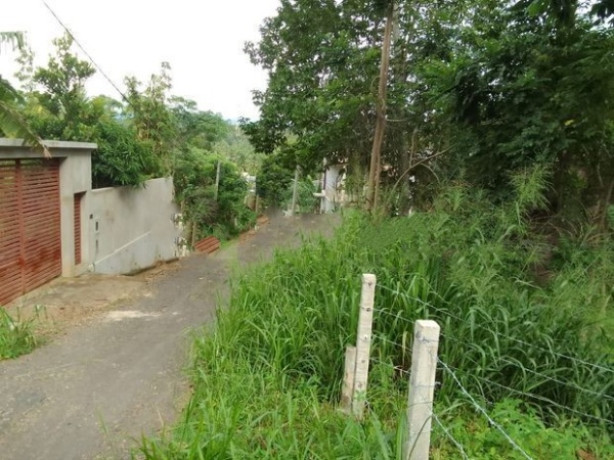 Land for Sale - Matale