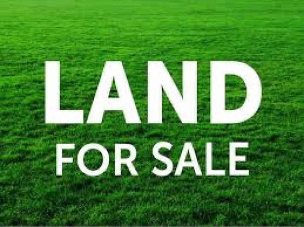 Land For Sale In Delgoda