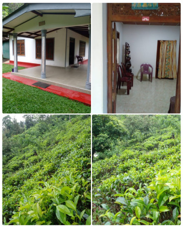 HOUSE FOR SALE IN EHELIYAGODA