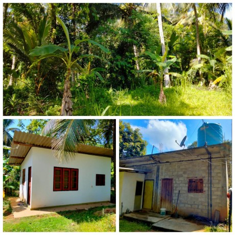 Land for Sale with A Small House Dambadeniya