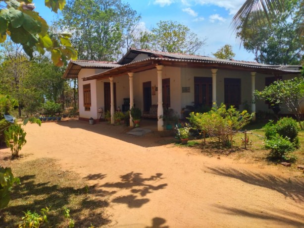 House for sale in Polonnaruwa Aluthwewa
