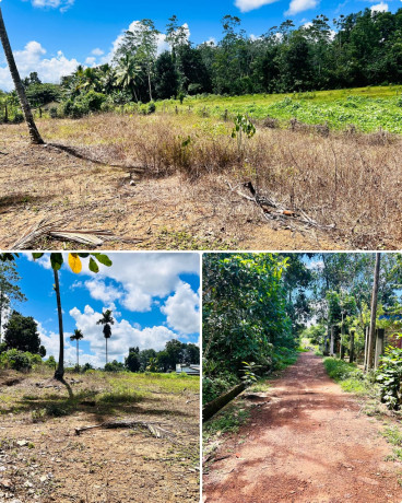 Land For Sale In Dodangoda