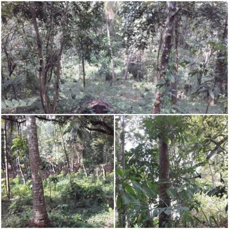 Land for sale in Mawanalla