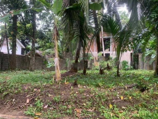 Land for Sale හපුගල