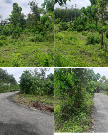 Land For Sale In Mathugama Neboda