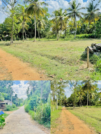 Land For Sale In Wariyapola