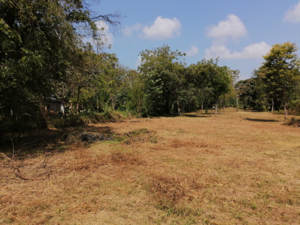 Land For Sale In Katharagama