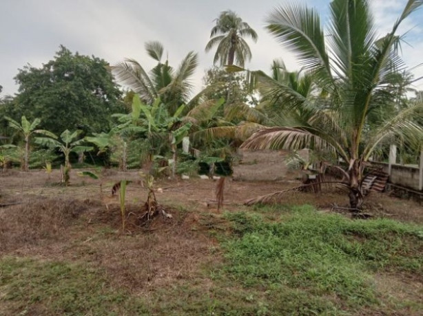 Land for sale - Kurunegala