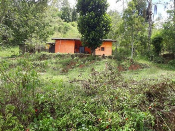 Land with House for Sale nugathalawa