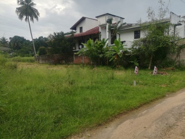 A Land Sale in Kurunegala