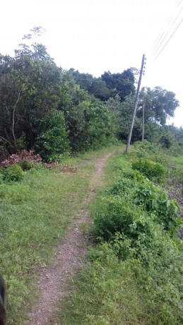 Godagama Land for Sale