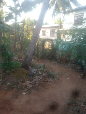 Land For Sale In Polonnaruwa