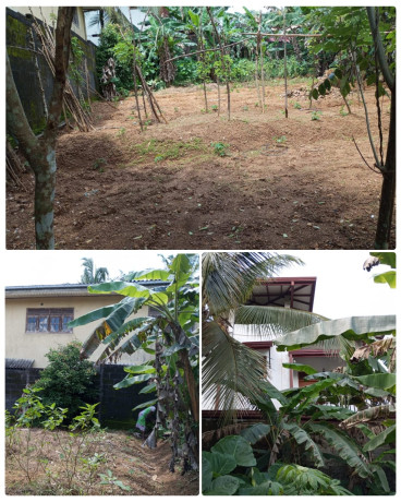 LAND FOR SALE IN HORANA