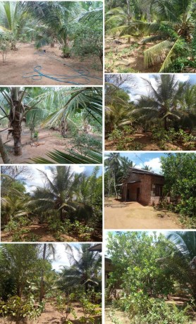 Land With Half Built House For Sale In - ANURADHAPURA.