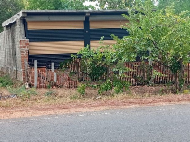 Land with House for Sale Anuradhapura Pusiyankulama