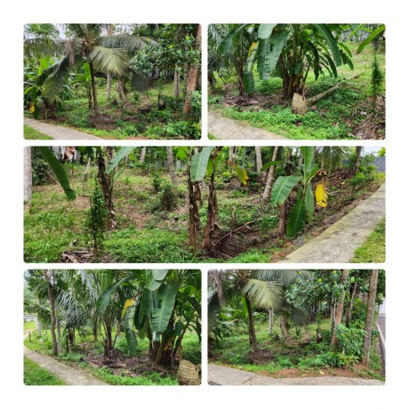 Land For Sale in - Galle.
