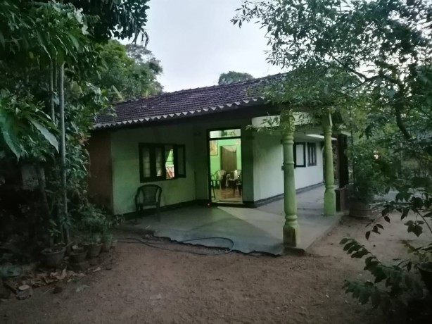 House for Sale Hingurakgoda