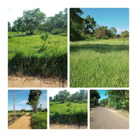 Land For Sale In - Theppakulam