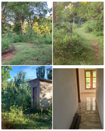 LAND WITH HOUSE FOR SALE IN TALAWA