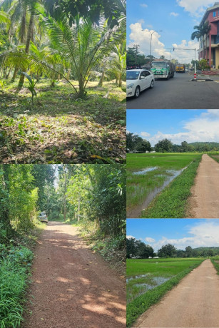 Land for sale in Gampaha Miriswaththa