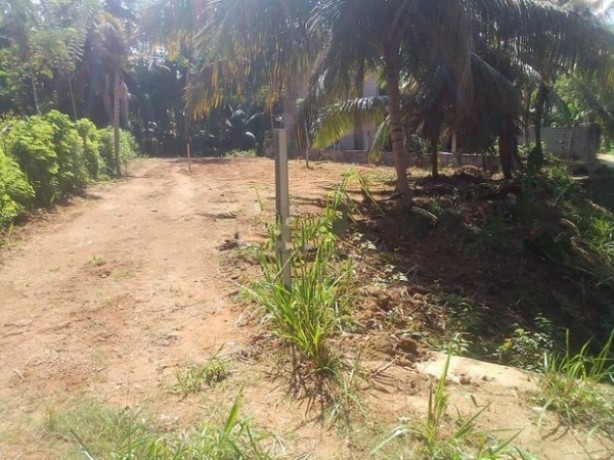 Land for sale in Walasmulla