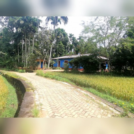 Land For Sale In Badulla
