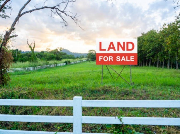Land for Sale හල්පේ