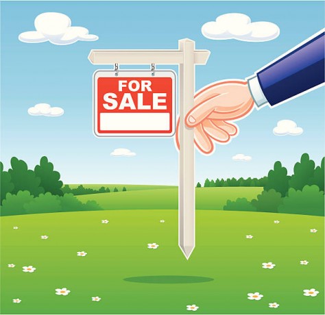 Land For Sale in Poogoda