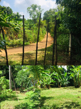 Land for Sale in Thalakiriyagama